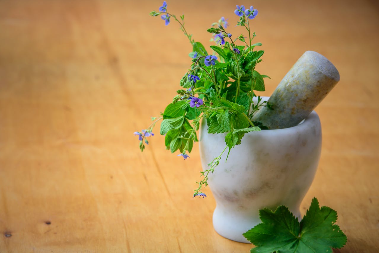 herbs to help kidney disease