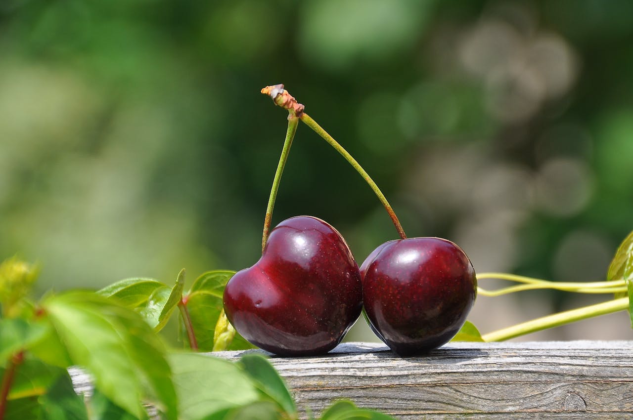 are cherries good for kidneys