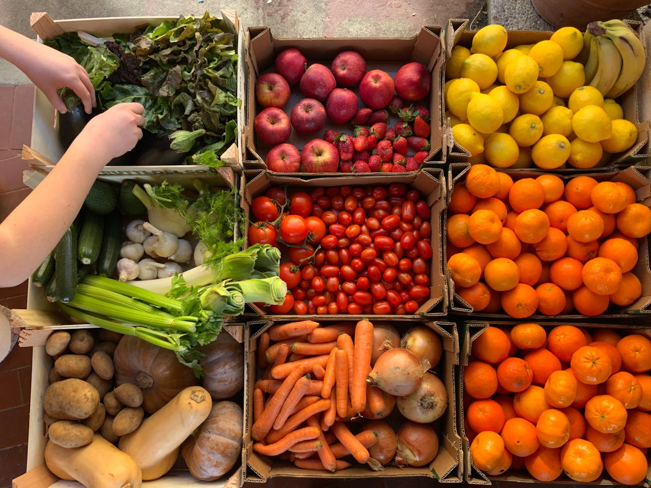 Buy The Kidney Disease Solution Program