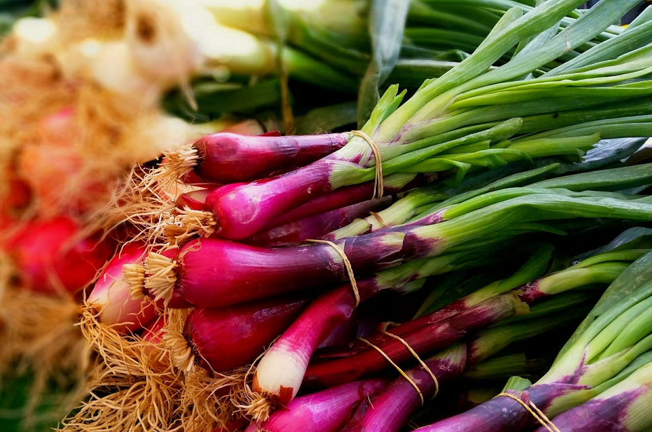 Holistic treatment for CKD stage 3