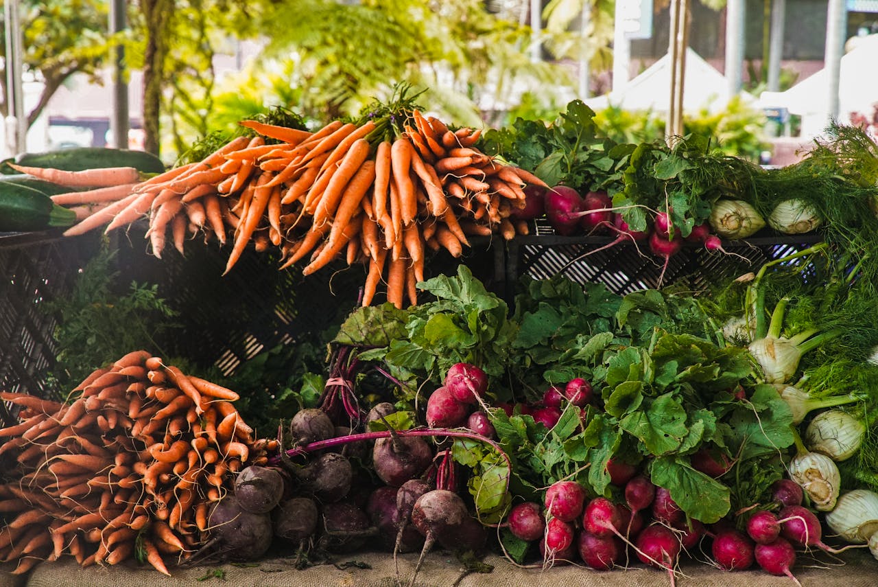 Reversing kidney disease naturally program
