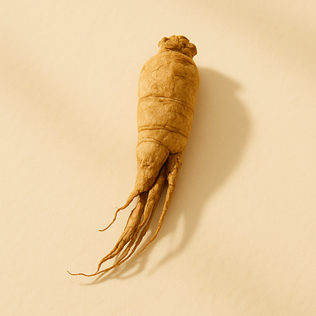 tienchi-ginseng