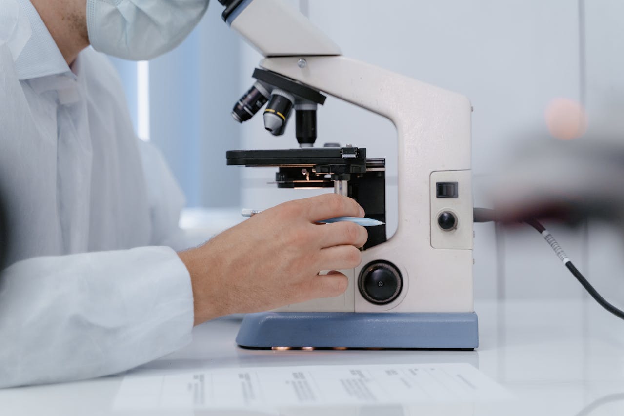 how to lower creatinine levels in kidneys how to lower creatinine levels in kidneys