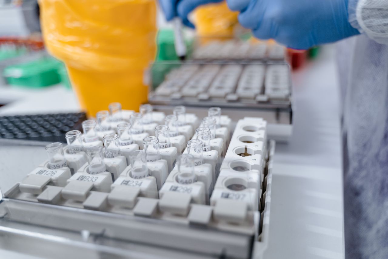 can kidney disease be cured